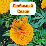 Любимый сезон
